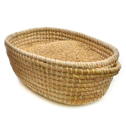 Sijačica