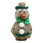 Pupazzo di neve - immagine 9