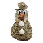 Pupazzo di neve - immagine 8