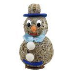 Pupazzo di neve - immagine 11