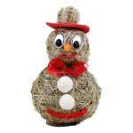 Pupazzo di neve - immagine 10