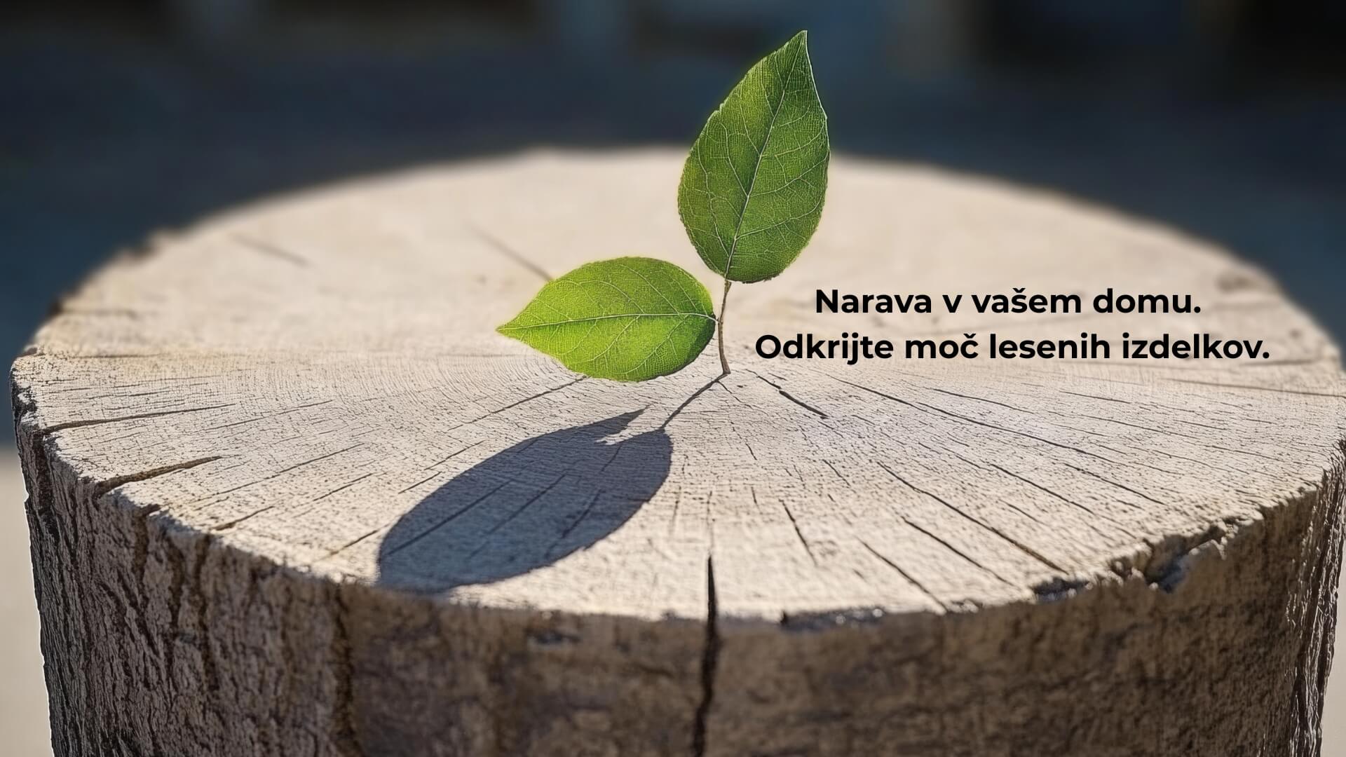 Izbor koji poštuje prirodu – Zašto su drveni proizvodi za dom i vrt jedno od najodrživijih rješenja?